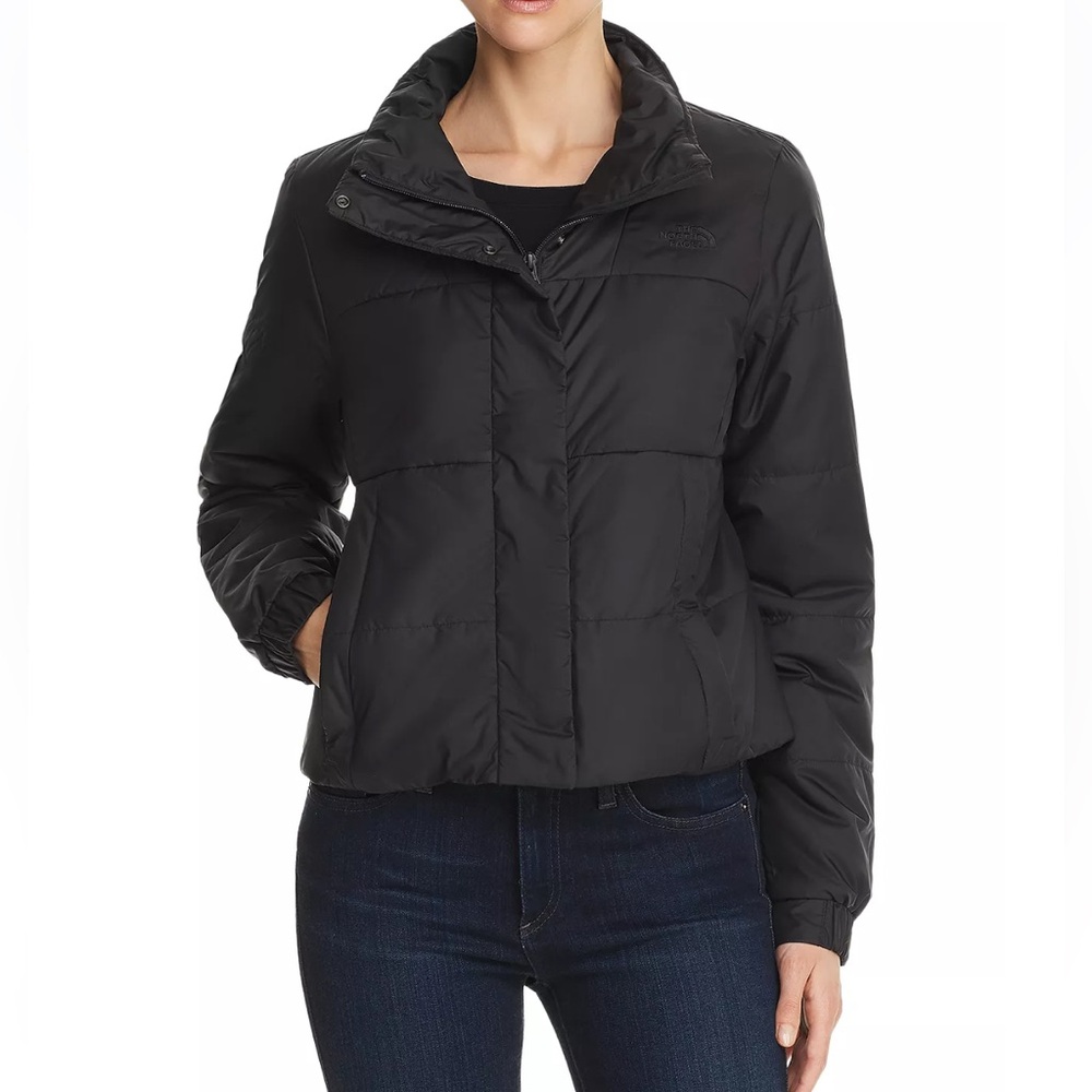 The North Face Women’s Femtastic Insulated Jacket (Medium)